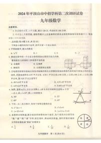 2024年河南省平顶山市中考二模数学试题