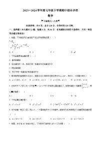 河北省邢台英华教育集团2023-2024学年七年级下学期期中数学试题（原卷版+解析版）