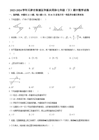 天津市东丽区华新共同体2023-2024学年七年级下学期期中数学试题（原卷版+解析版）