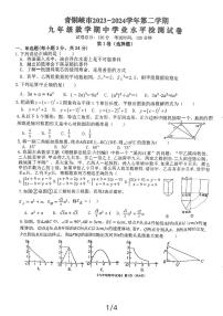 宁夏回族自治区吴忠市青铜峡市2023-2024学年九年级下学期4月期中数学试题