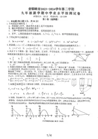 宁夏回族自治区吴忠市青铜峡市2023-2024学年九年级下学期4月期中数学试题
