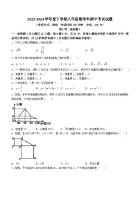 广西壮族自治区南宁市广西大学附属中学2023-2024学年八年级下学期期中数学试题(无答案)