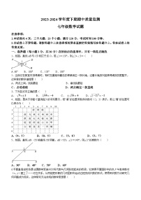 河南省信阳市息县2023-2024学年七年级下学期期中数学试题