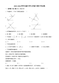 福建省莆田市城厢区莆田文献中学2023-2024学年七年级下学期期中数学试题（原卷版+解析版）