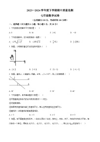 江西省宜春市高安市2023-2024学年七年级下学期期中数学试题（原卷版+解析版）