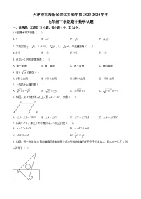 天津市滨海新区泰达实验学校2023-2024学年七年级下学期期中数学试题（原卷版+解析版）