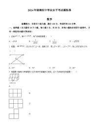 湖南省邵阳市邵东市2023-2024学年九年级下学期期中数学试题（原卷版+解析版）