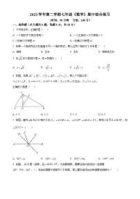 上海市浦东新区上海浦东民办未来科技学校2023-2024学年七年级下学期期中数学试题（原卷版+解析版）