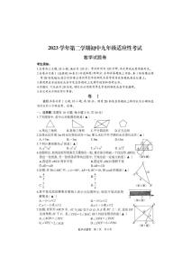 2023年浙江省丽水市九年级中考一模考试数学试题及答案