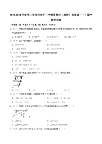 浙江省杭州市十三中教育集团（总校）2023-2024学年七年级下学期期中考试数学试卷