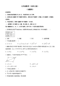 安徽省宿州市砀山县2023-2024学年七年级下学期期中数学试题（原卷版+解析版）