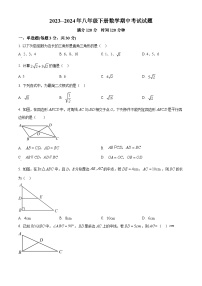 广东省湛江市雷州市雷州市第二中学2023-2024学年八年级下学期期中数学试题（原卷版+解析版）