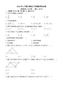 广东省中山市坦洲实验中学2023-2024学年八年级下学期期中数学试题（原卷版+解析版）