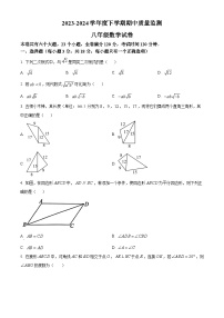 江西省宜春市高安市2023-2024学年八年级下学期期中数学试题（原卷版+解析版）