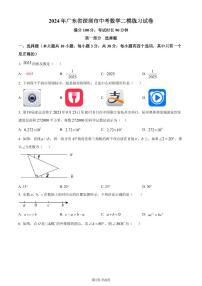 2024年广东省深圳市中考二模数学试题及答案