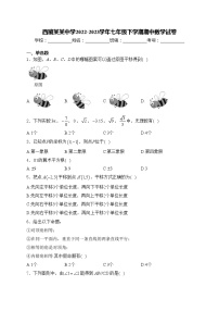 西藏某某中学2022-2023学年七年级下学期期中数学试卷(含答案)