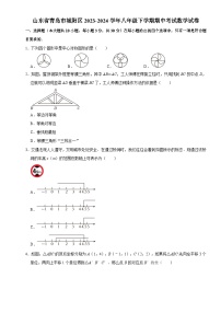山东省青岛市城阳区2023-2024学年八年级下学期期中考试数学试题+