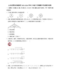 山东省青岛市城阳区2023-2024学年八年级下学期期中考试数学试题+