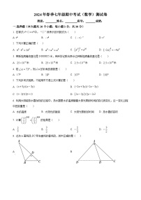 广东省河源市连平县协作区联考2023-2024学年七年级下学期期中数学试题（原卷版+解析版）