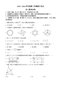 广东省茂名市博雅中学2023-2024学年八年级下学期期中数学试题（原卷版+解析版）