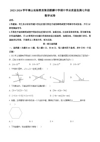 广东省深圳南山实验集团麒麟中学2023-2024学年七年级下学期期中数学试题（原卷版+解析版）