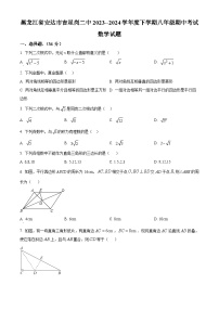 黑龙江省绥化市安达市吉星岗二中2023-2024学年八年级下学期期中数学试题（原卷版+解析版）