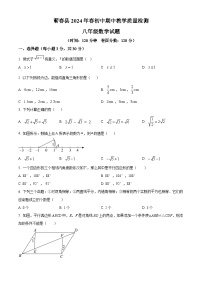 湖北省黄冈市蕲春县2023-2024学年八年级下学期期中数学试题（原卷版+解析版）