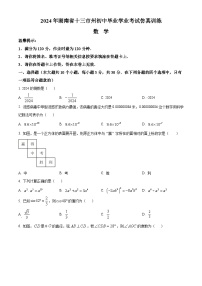 湖南省娄底市2023-2024学年九年级下学期期中数学试题（原卷版+解析版）