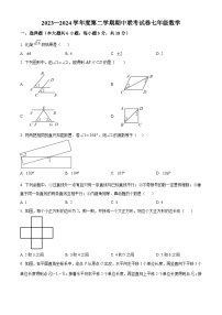 江西省赣州市南康区2023-2024学年七年级下学期期中数学试题（原卷版+解析版）