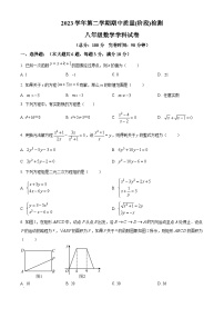 上海市浦东新区部分学校2023-2024学年八年级下学期期中数学试题（原卷版+解析版）