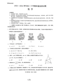 四川省 成都市锦江区2023—2024学年下学期八年级期中考试数学试题