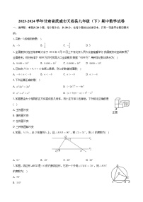 甘肃省武威市天祝县2023-2024学年九年级下学期期中数学试卷