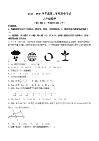 广东省茂名市电白区2023-2024学年八年级下学期期中数学试题