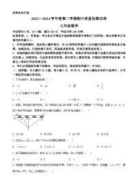 广东省阳江市2023-2024学年七年级下学期期中数学试题