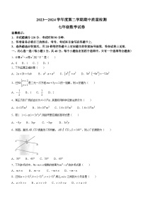 河北省唐山市乐亭县2023-2024学年七年级下学期期中数学试题