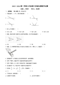 广东省惠州市惠阳高级中学初中部2023-2024学年七年级下学期期中数学试题（原卷版+解析版）