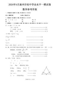 广东省惠州市惠阳区2024年4月初中学业水平一模数学试卷答案