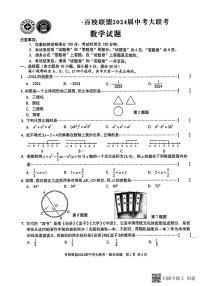 2024年安徽省芜湖市无为市九年级中考二模数学试题