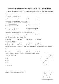 2023-2024学年湖南省长沙市长沙县七年级（下）期中数学试卷（含解析）