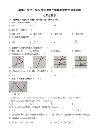 安徽省淮南市潘集区2023-2024学年七年级下学期期中数学试题