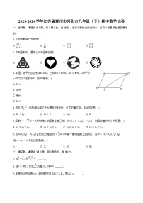 2023-2024学年江苏省泰州市兴化市八年级（下）期中数学试卷（含解析）