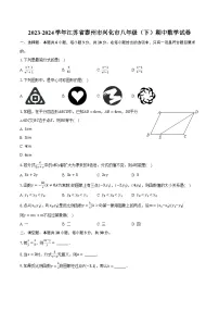 2023-2024学年江苏省泰州市兴化市八年级（下）期中数学试卷（含解析）