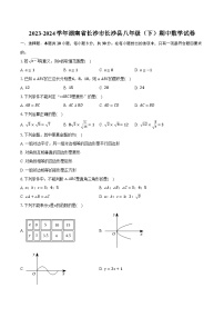 2023-2024学年湖南省长沙市长沙县八年级（下）期中数学试卷（含解析）