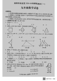 2024年河南省洛阳市洛龙区九年级下学期第一次模拟考试数学试卷