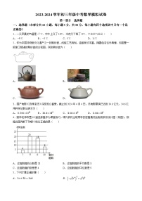 2024年广东省深圳市罗湖外语实验学校中考三模数学试题