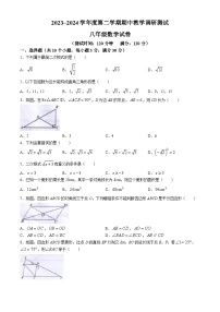 广东省湛江市徐闻县2023-2024学年八年级下学期期中数学试题