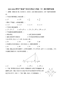 2023-2024学年广东省广州市天河区八年级（下）期中数学试卷（含解析）