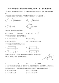 2023-2024学年广东省深圳市福田区八年级（下）期中数学试卷（含解析）