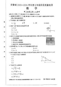 安徽省阜阳市太和县2023-2024学年七年级下学期4月期中数学试题