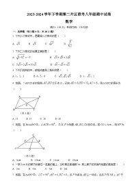 福建省莆田市涵江区莆田锦江中学2023-2024学年八年级下学期期中数学试题(无答案)